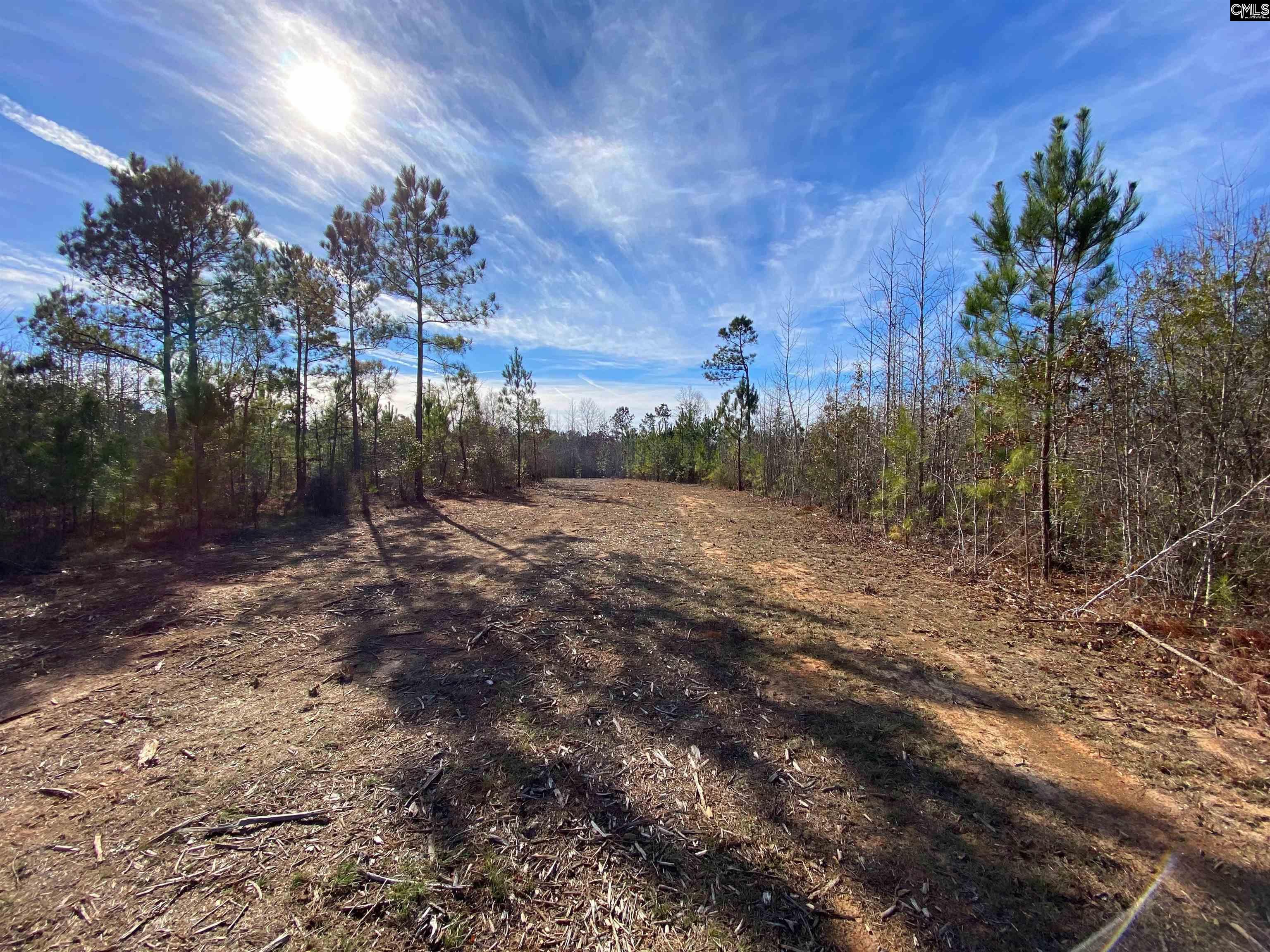 900 Pineywood Road Saluda, SC 29138 - Photo 2 of 23