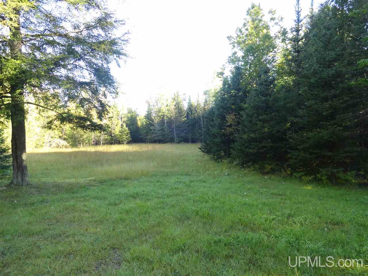9490 Co Road Cornell, MI 49818 - Photo 19 of 36