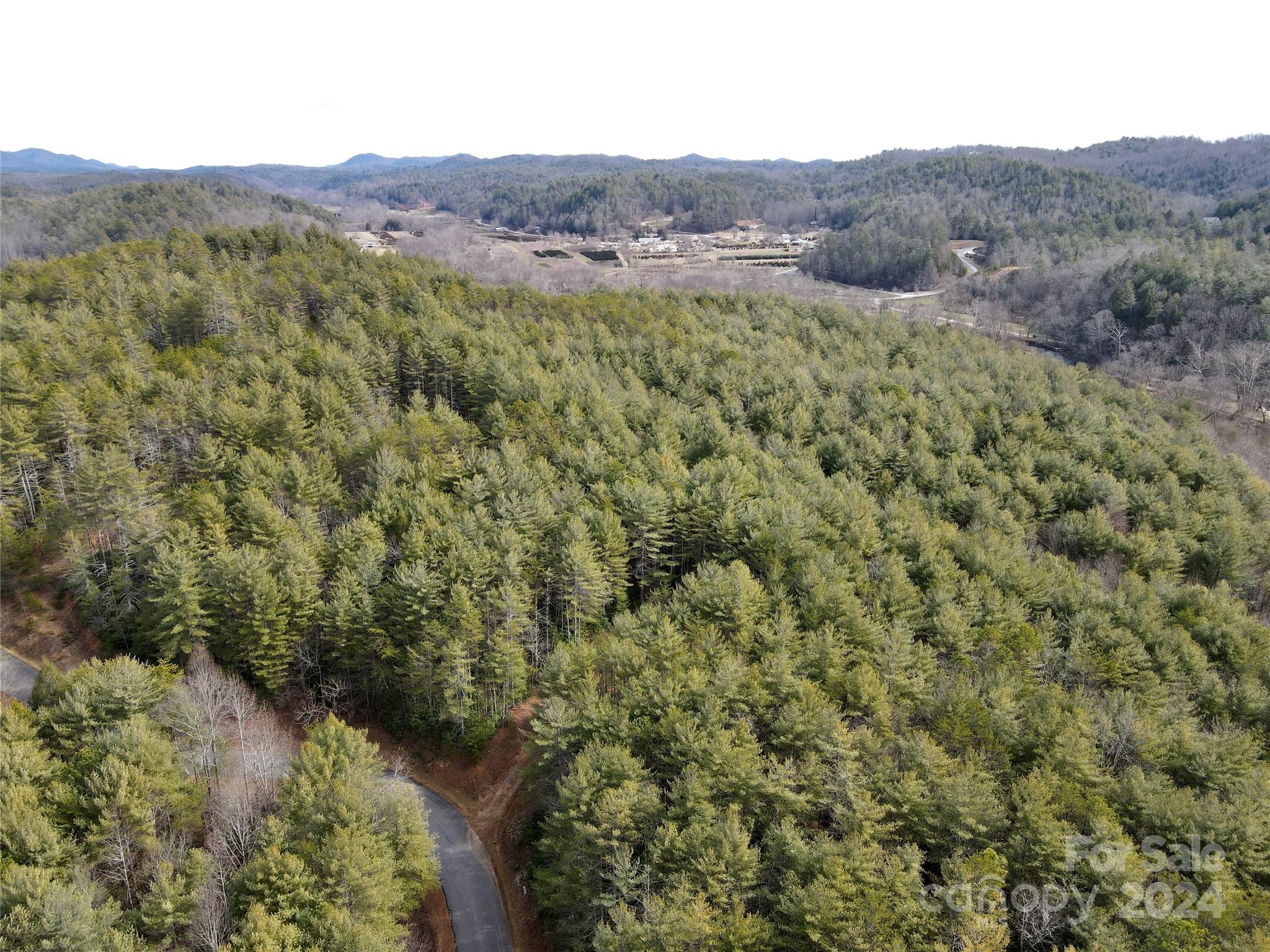 5632 Collette Ridge Circle Collettsville, NC 28611 - Photo 4 of 10