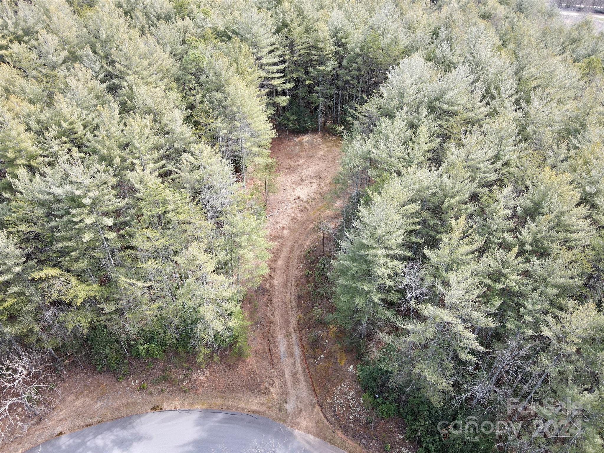 5632 Collette Ridge Circle Collettsville, NC 28611 - Photo 5 of 10