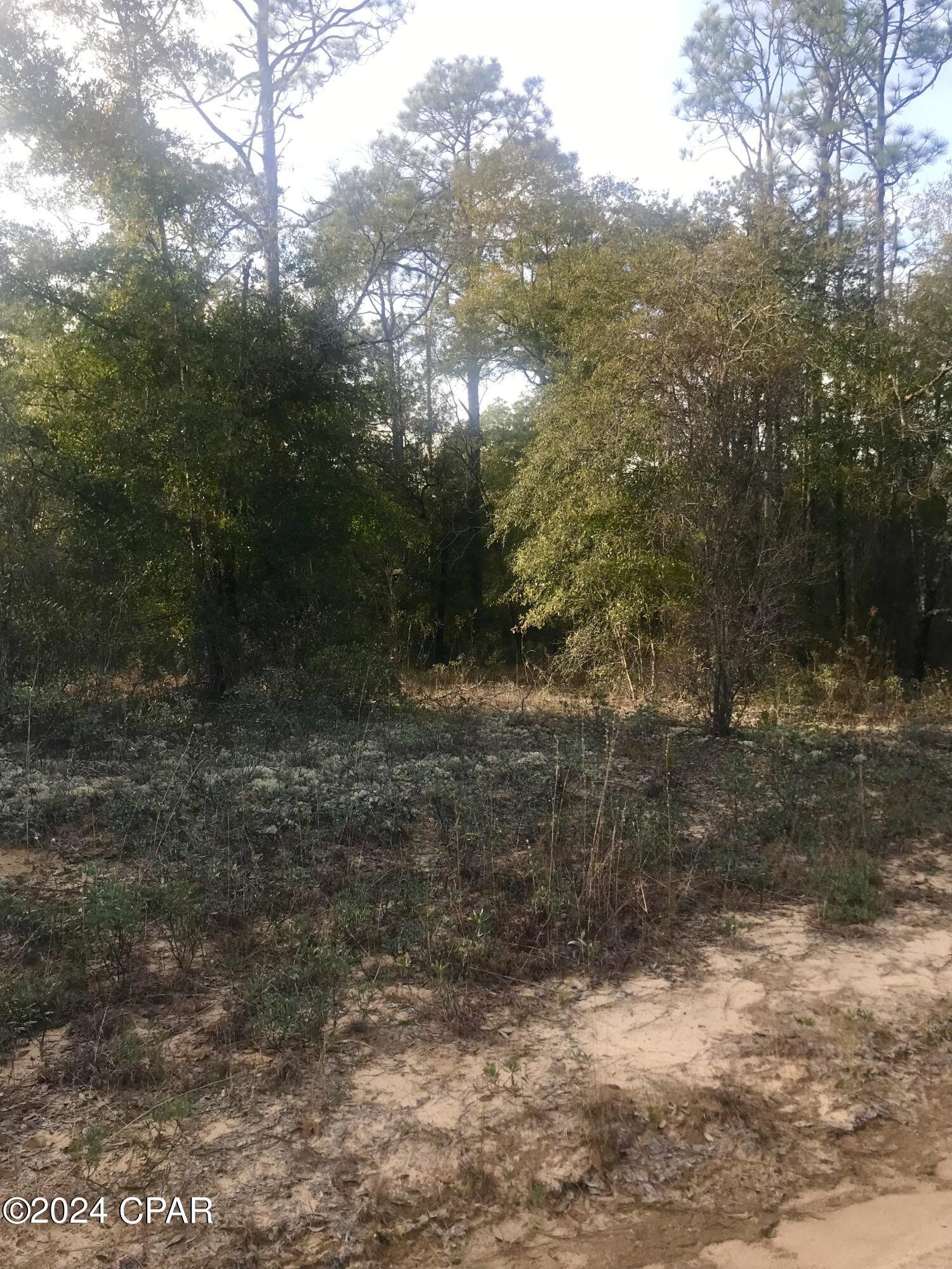 0 Dunford Circle, Unit LOT 13 Chipley, FL 32428 - Photo 1 of 8