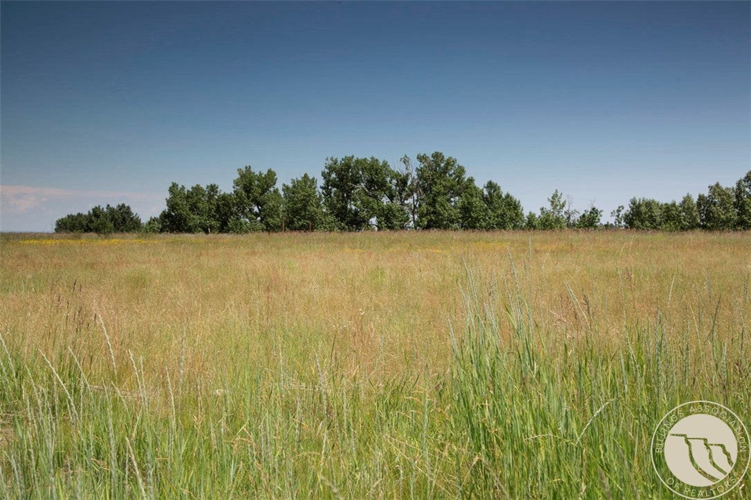 2740 Pine Ridge Road Red Lodge, MT 59068 - Photo 24 of 30 Gallery Image 24