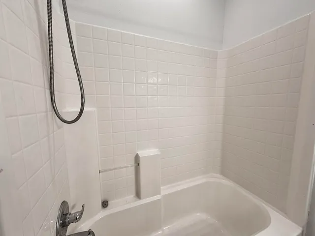 a bathroom with a bath tub and a shower