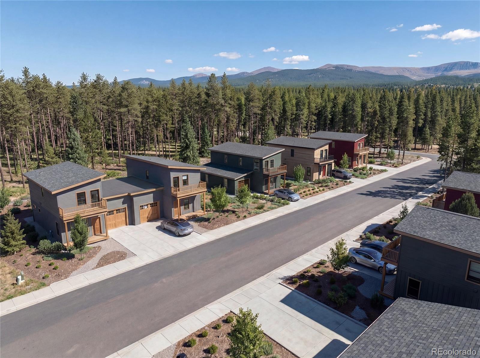 107 Timber Ranch Drive Leadville, CO 80461 - Photo 2 of 12