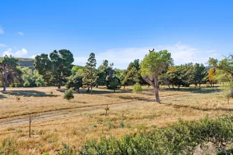 a view of a yard with trees