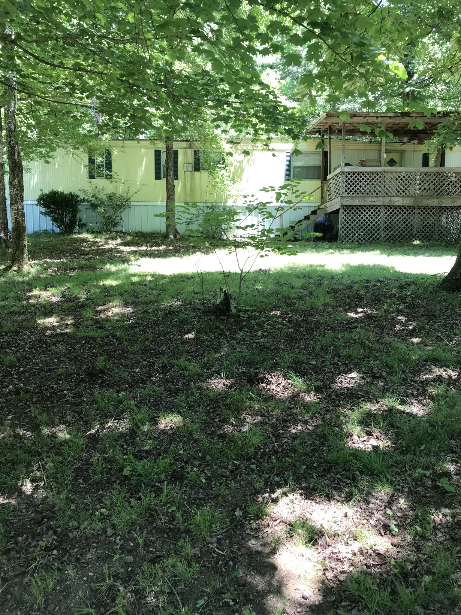 a backyard of a house with lots of green space