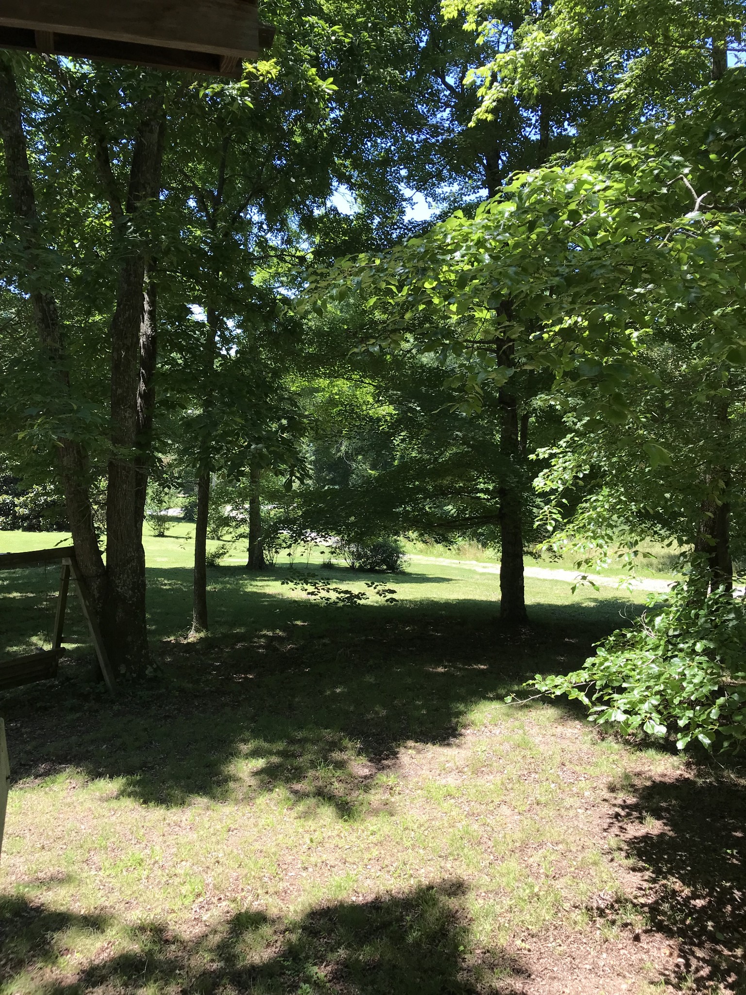 9026 Greenbriar Road Waverly, TN 37185 - Photo 9 of 19 a view of back yard