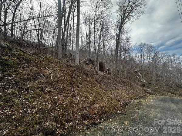 a view of a yard with trees