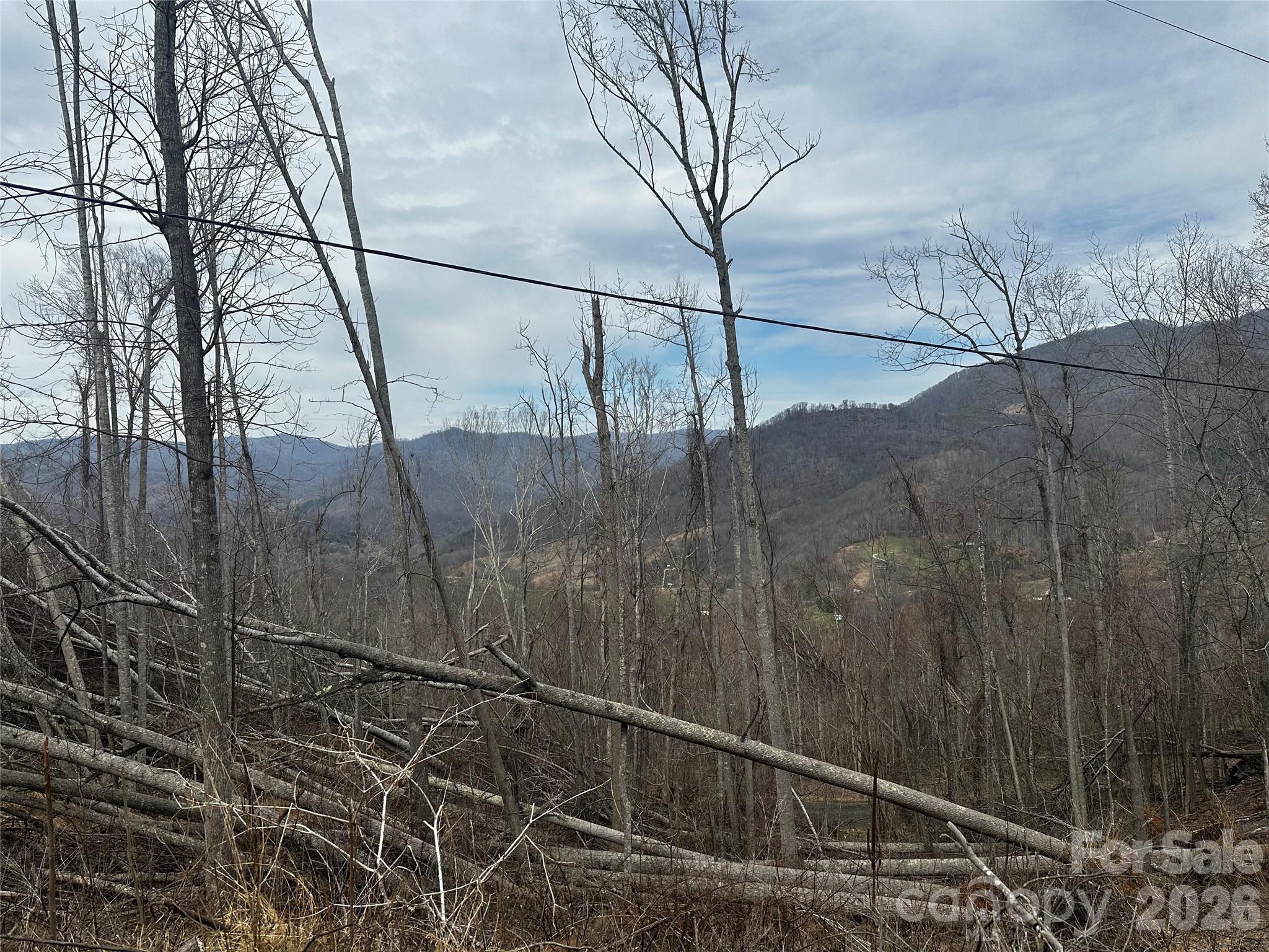 0 Grace Ridge Road Bakersville, NC 28705 - Photo 4 of 19