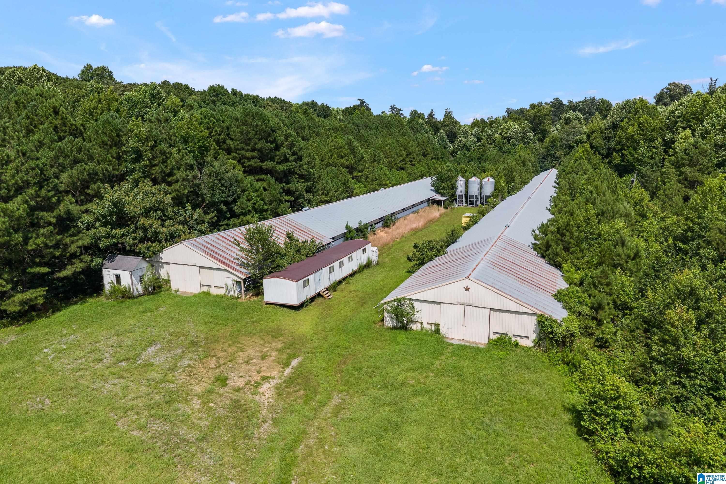 1283 Rogers Road Oneonta, AL 35121 - Photo 44 of 58