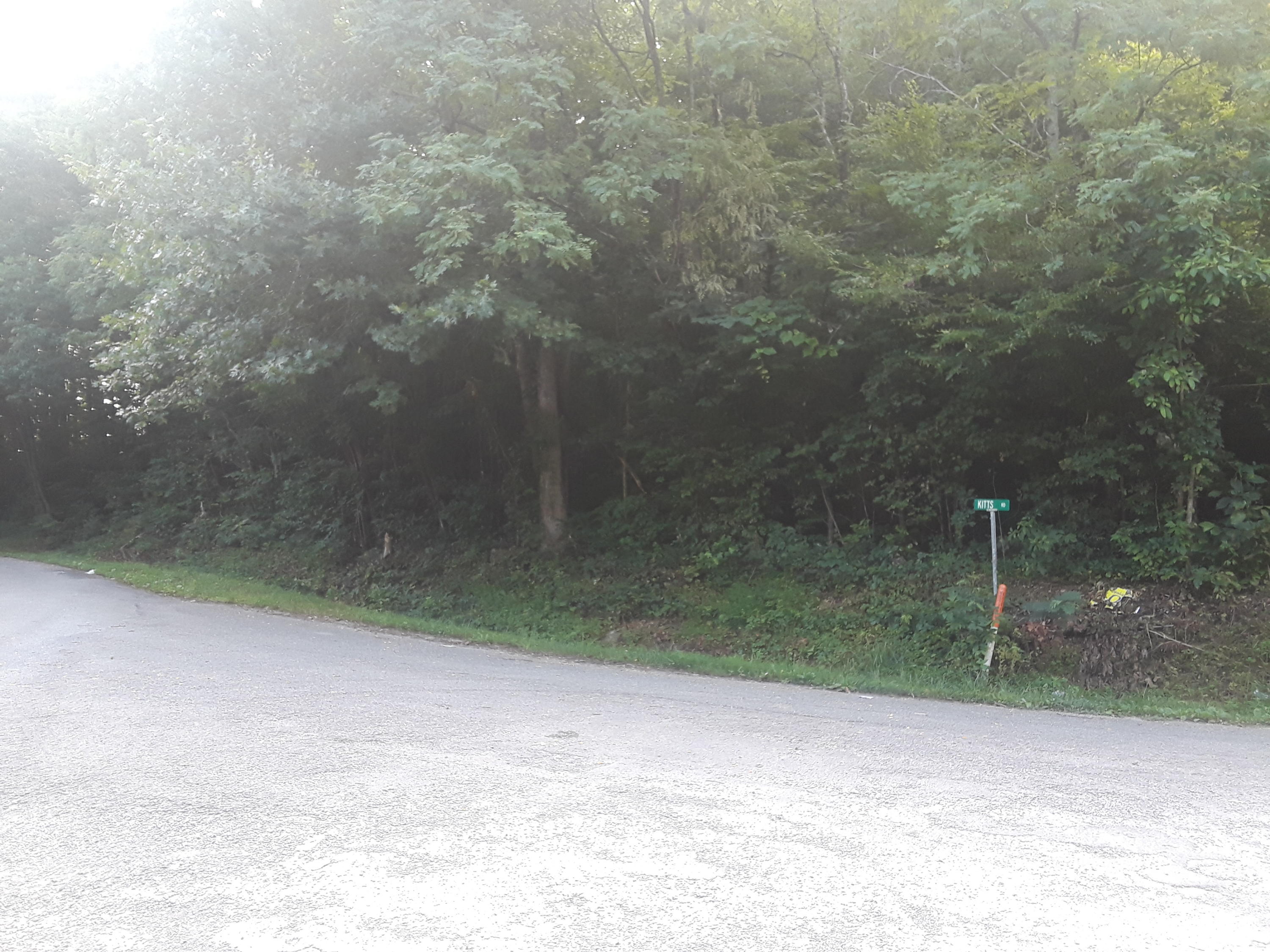 Kitts Road Luttrell, TN 37779 - Photo 4 of 7 20190628_090316