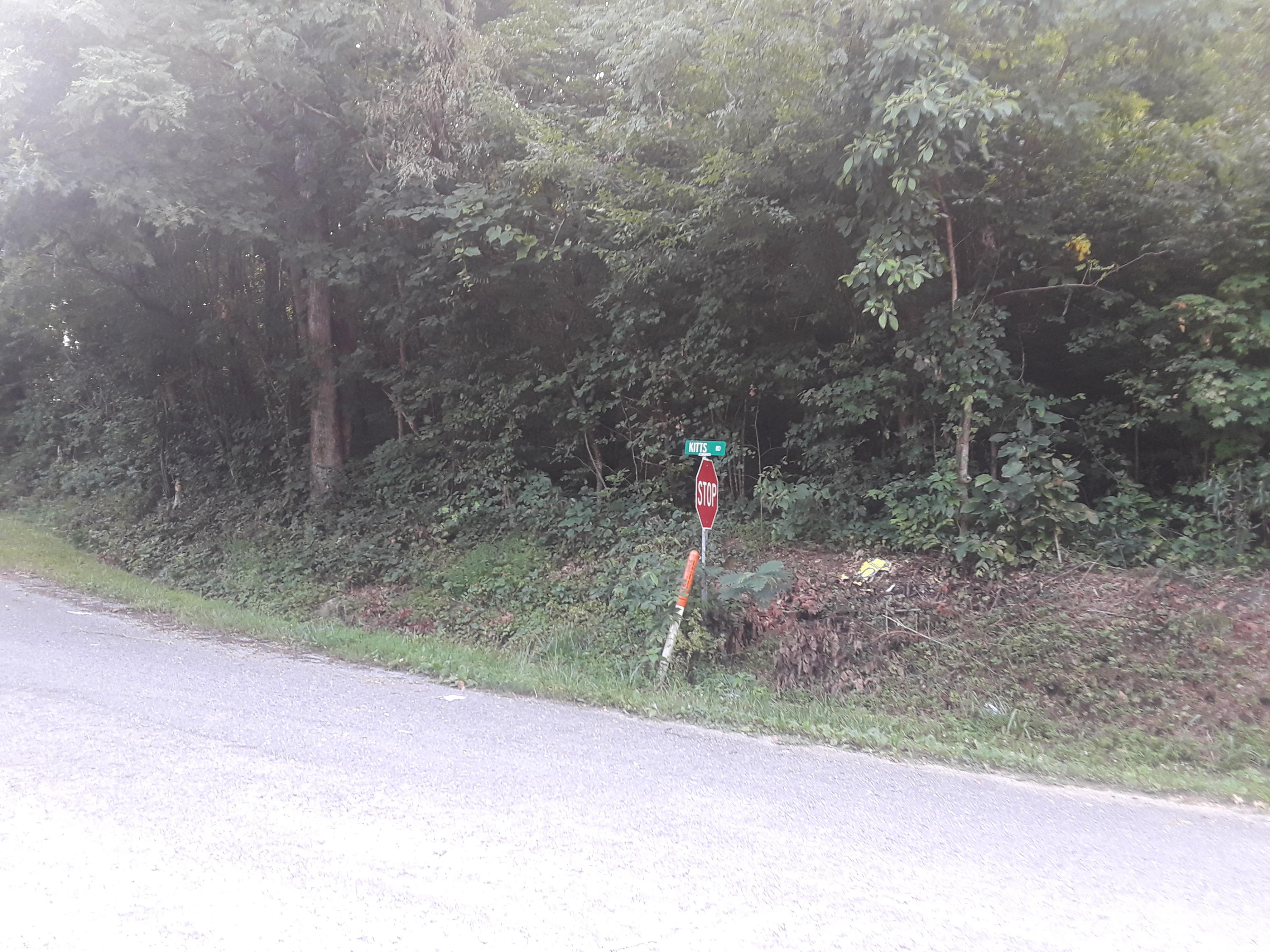 Kitts Road Luttrell, TN 37779 - Photo 5 of 7 20190628_090326