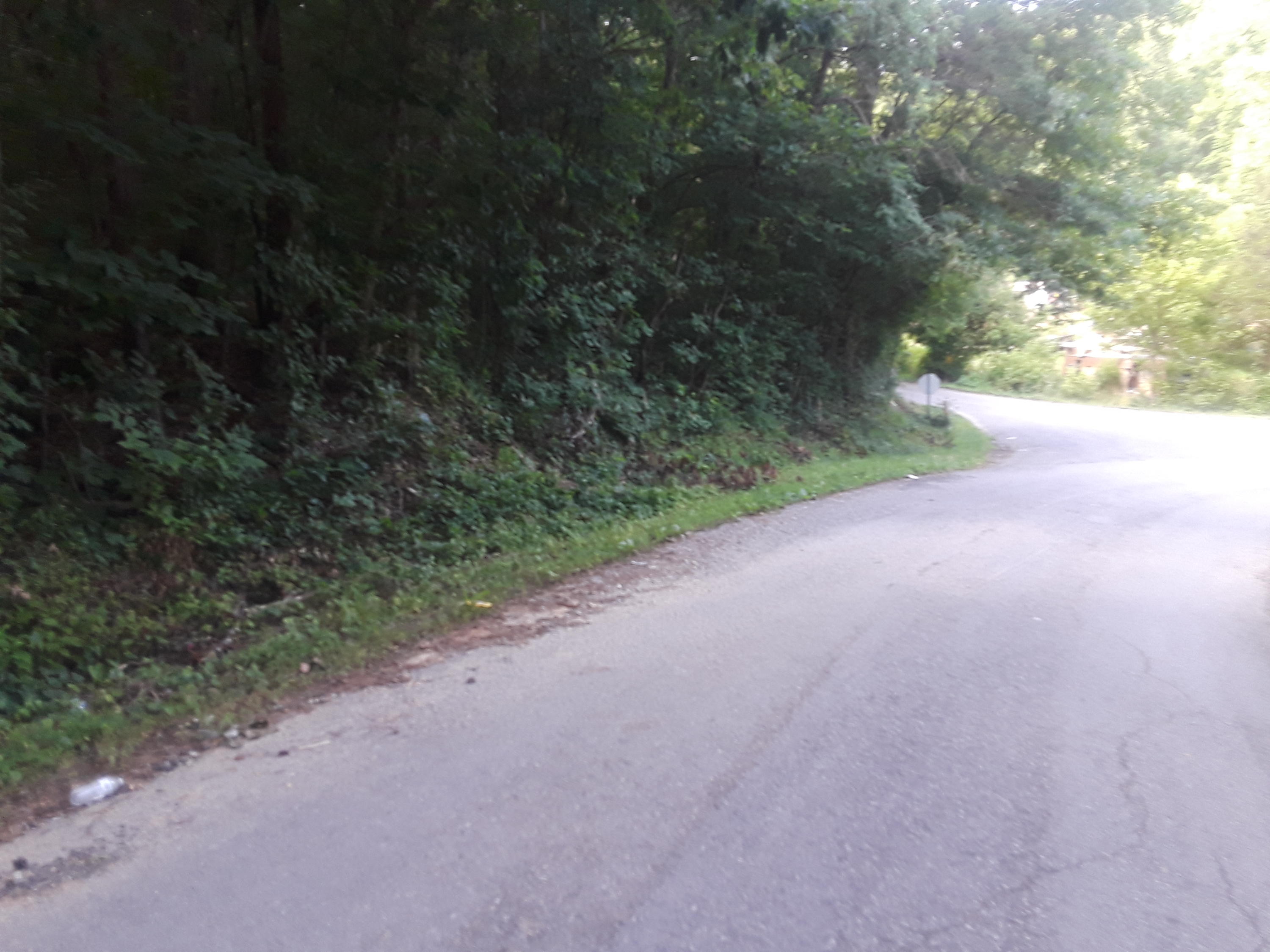 Kitts Road Luttrell, TN 37779 - Photo 6 of 7 20190628_090151