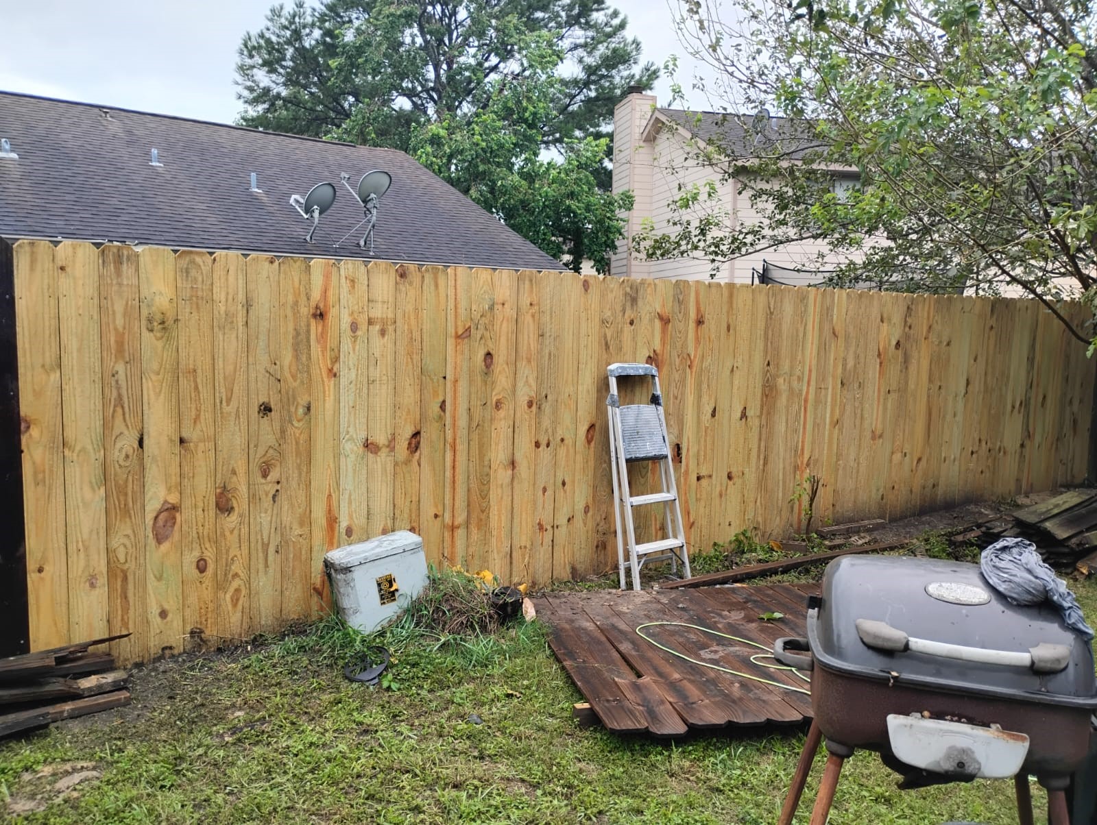 10113 Spring Pl Drive Houston, TX 77070 - Photo 2 of 11 a view of a backyard with plants and a tree