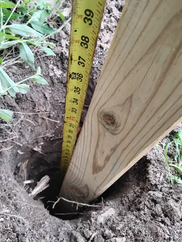 a view of a balcony with a garden