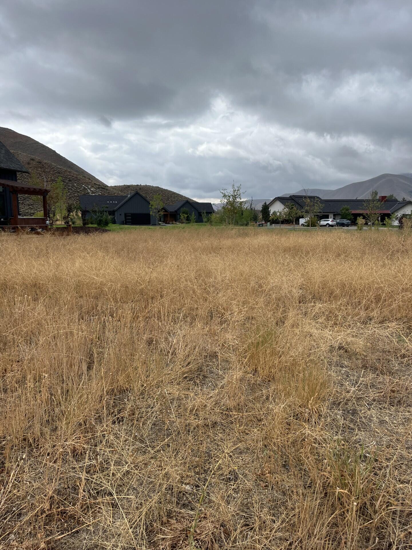 1541 Appaloosa Road Hailey, ID 83333 - Photo 4 of 8 Appaloosa Rd. Lot 12