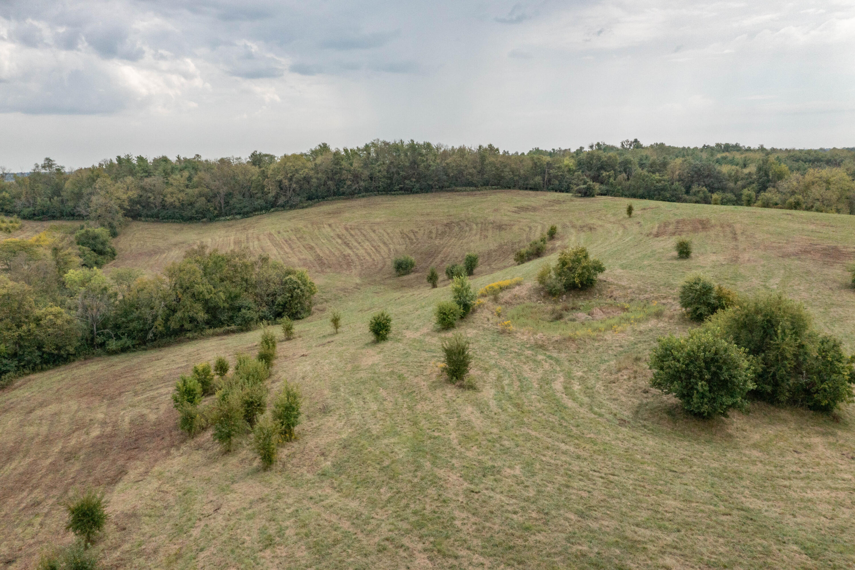 706 Stone Road Paris, KY 40361 - Photo 10 of 18 DJI_0363