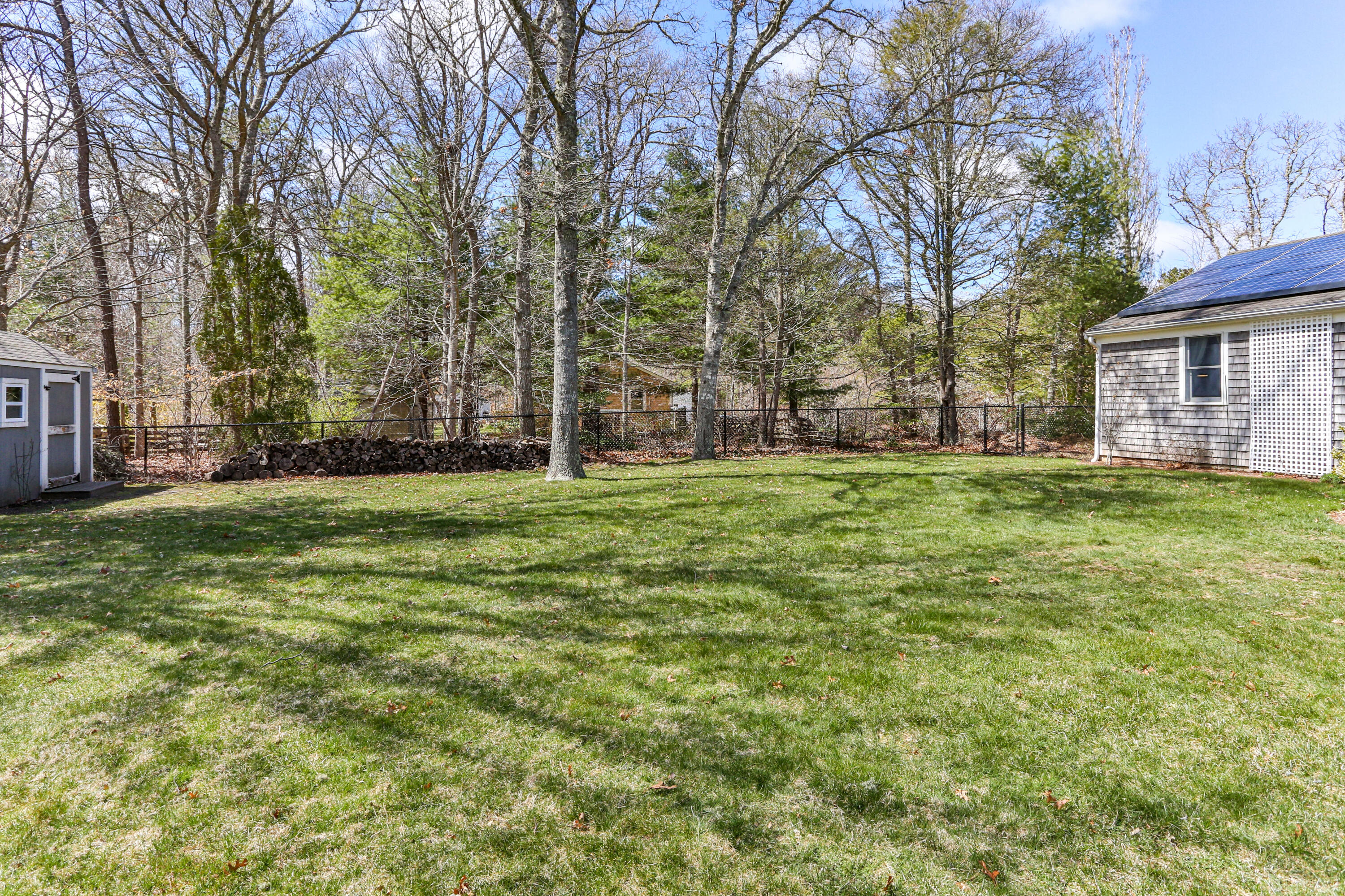 36 Scituate Road Mashpee, MA 02649 - Photo 31 of 36 a tall tree in middle of green field