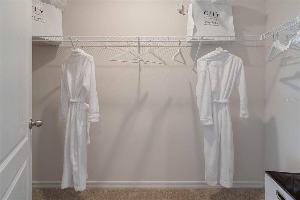 4201 Evernia Road Tavares, FL 32778 - Photo 24 of 25 a view of walk in closet