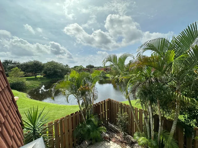 a view of a lake with a tree in the background