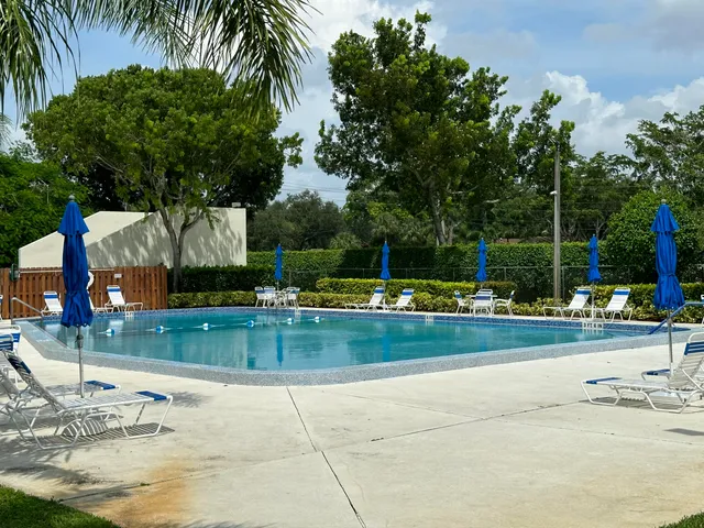 a view of a yard with palm trees