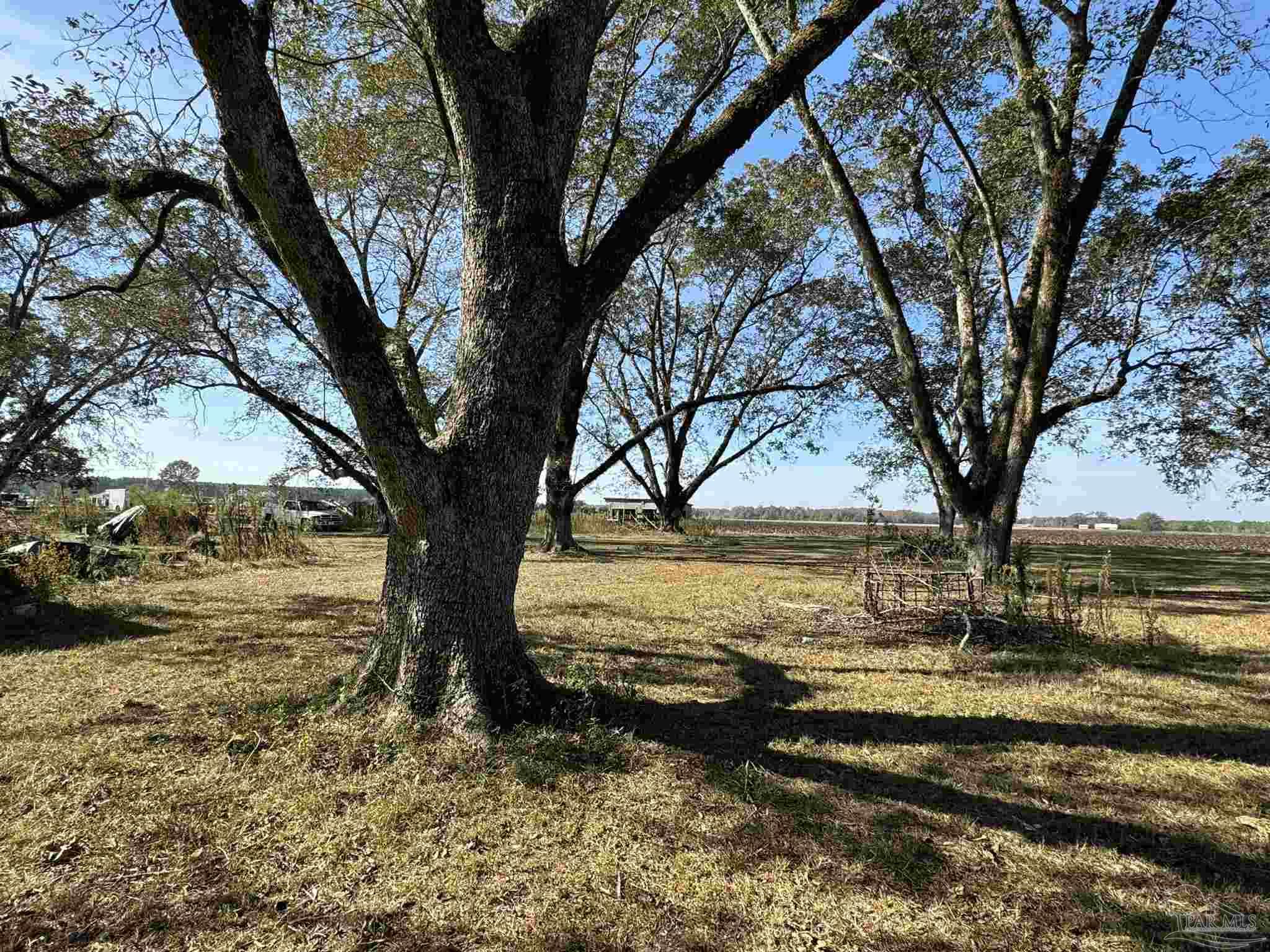 10393 Jack Springs Road Atmore, AL 36502 - Photo 3 of 45