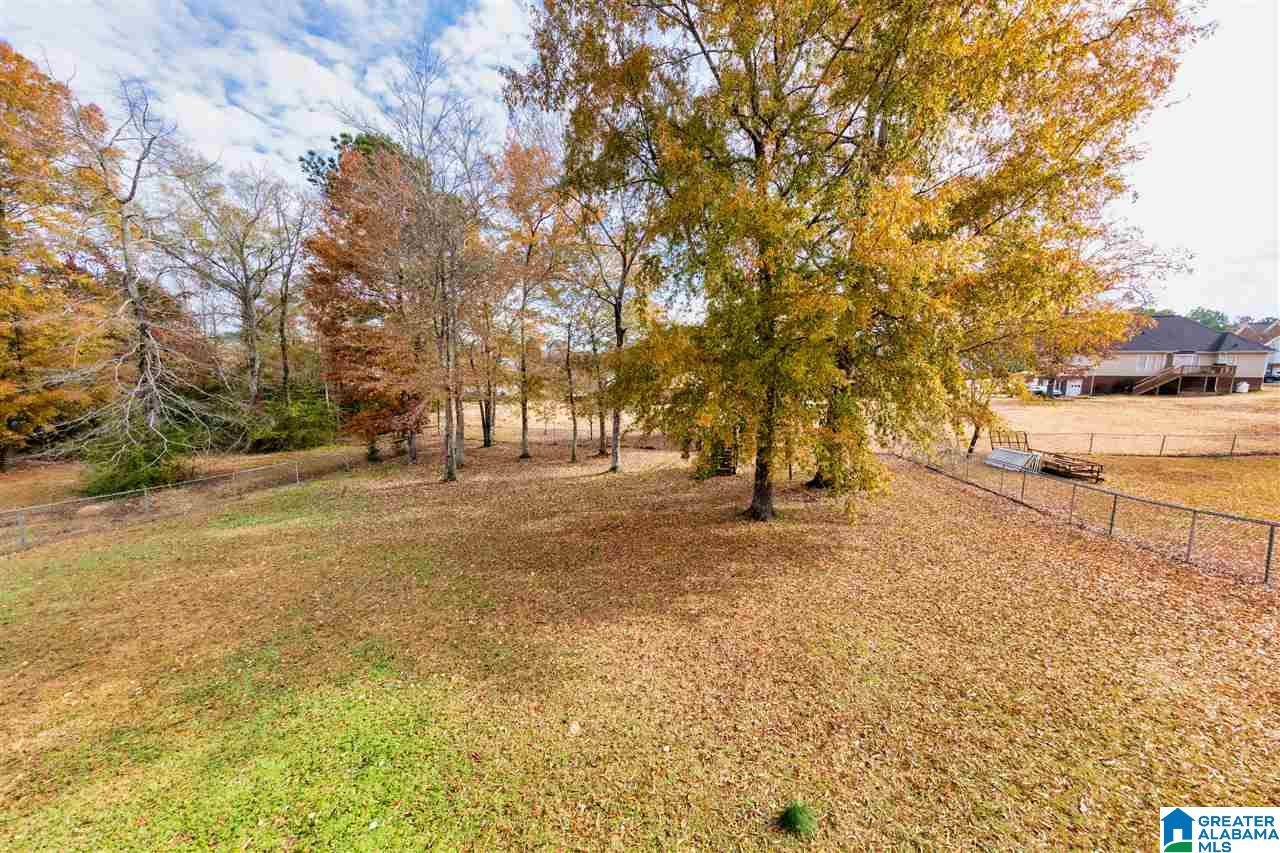 473 Bailey Loop Road Gardendale, AL 35071 - Photo 7 of 33