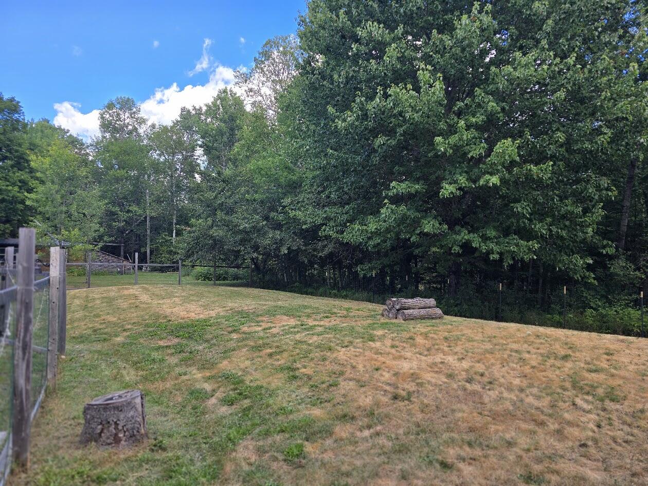 642 Tucker Ridge Road Springfield, ME 04487 - Photo 16 of 52 20250821_145408