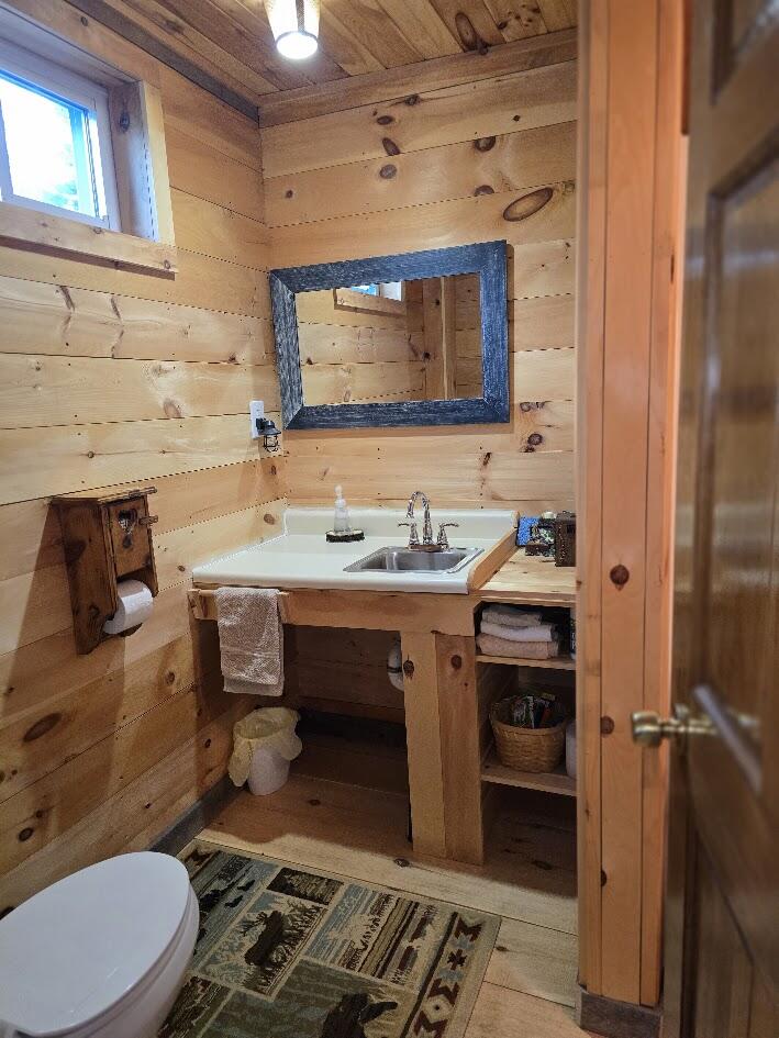 642 Tucker Ridge Road Springfield, ME 04487 - Photo 31 of 52 20250821_150458
