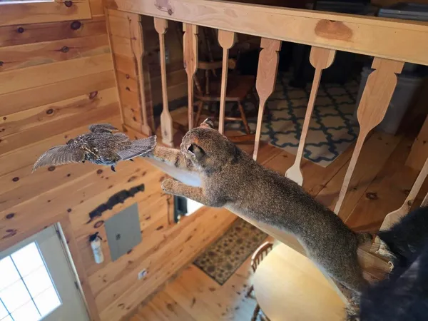 $350,000 | 642 Tucker Ridge Road, Springfield, ME 04487