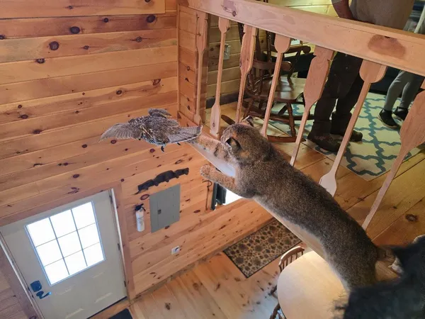 $350,000 | 642 Tucker Ridge Road, Springfield, ME 04487