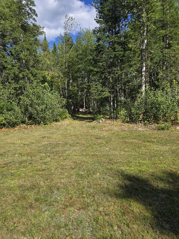642 Tucker Ridge Road Springfield, ME 04487 - Photo 49 of 52 20250821_151324