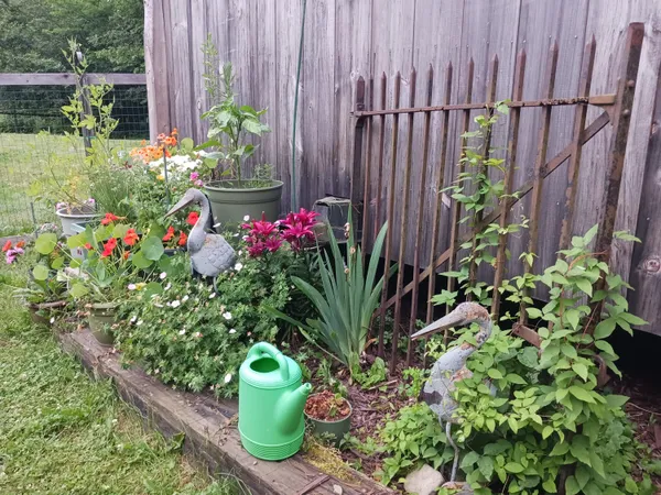 $350,000 | 642 Tucker Ridge Road, Springfield, ME 04487