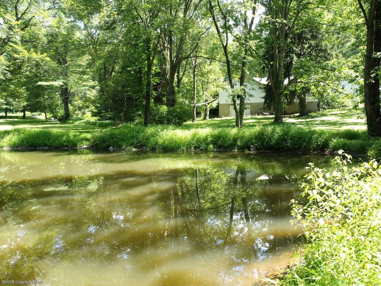 Pond