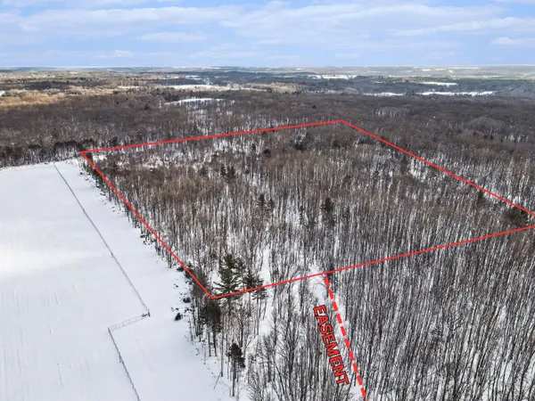 $113,900 | 18.9-acres South 176th Avenue, Hesperia, MI 49421