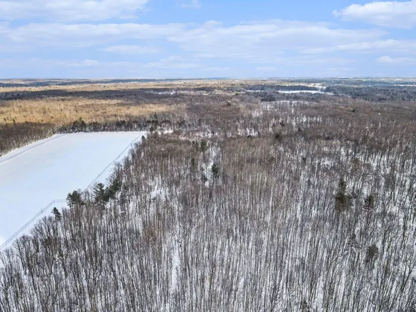 $113,900 | 18.9-acres South 176th Avenue, Hesperia, MI 49421