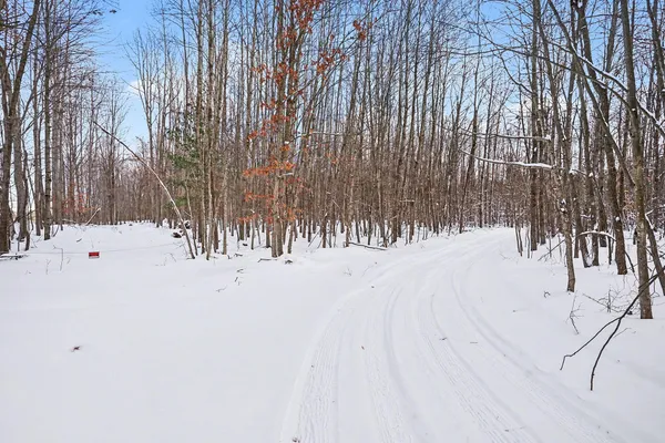$113,900 | 18.9-acres South 176th Avenue, Hesperia, MI 49421