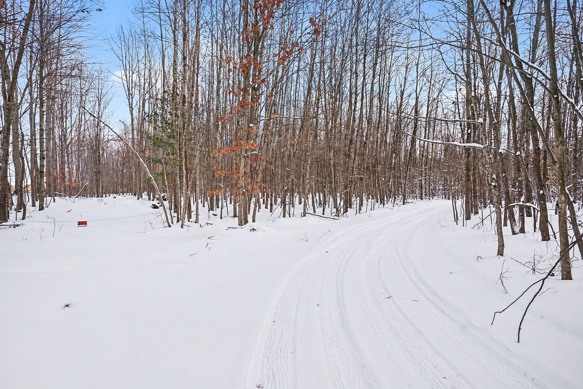 18.9-acres South 176th Avenue Hesperia, MI 49421 - Photo 16 of 17 18.9 Acres S 176th Avenue