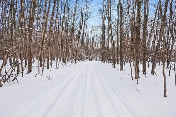 $113,900 | 18.9-acres South 176th Avenue, Hesperia, MI 49421