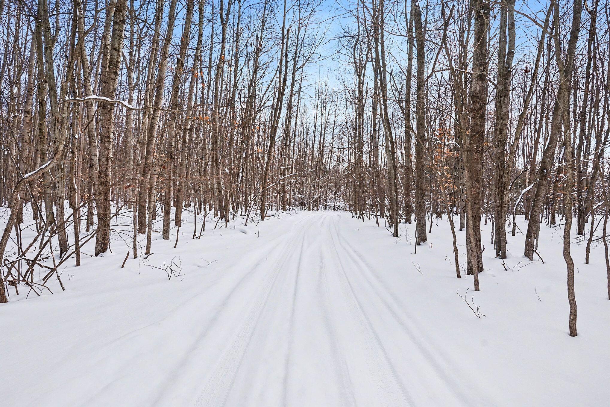 18.9-acres South 176th Avenue Hesperia, MI 49421 - Photo 17 of 17 18.9 Acres S 176th Avenue