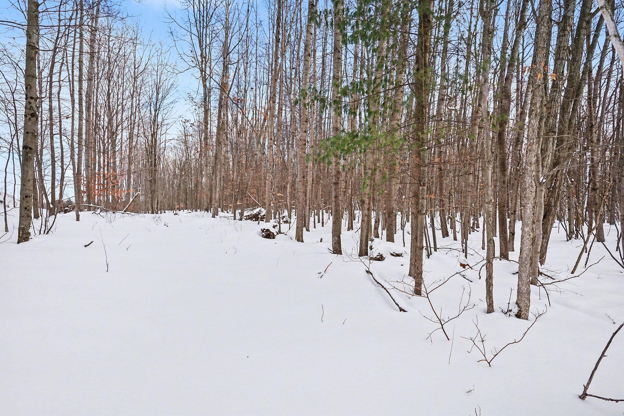 18.9-acres South 176th Avenue Hesperia, MI 49421 - Photo 2 of 17 18.9 Acres S 176th Avenue