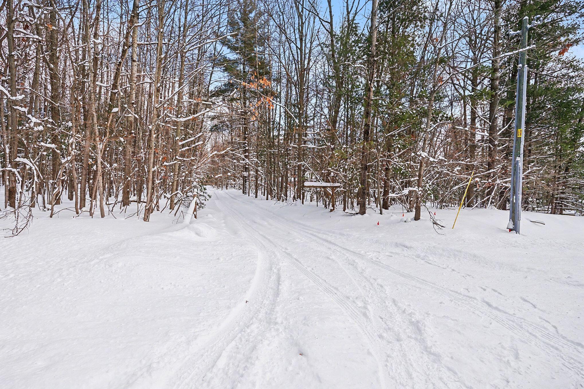 18.9-acres South 176th Avenue Hesperia, MI 49421 - Photo 3 of 17 18.9 Acres S 176th Avenue