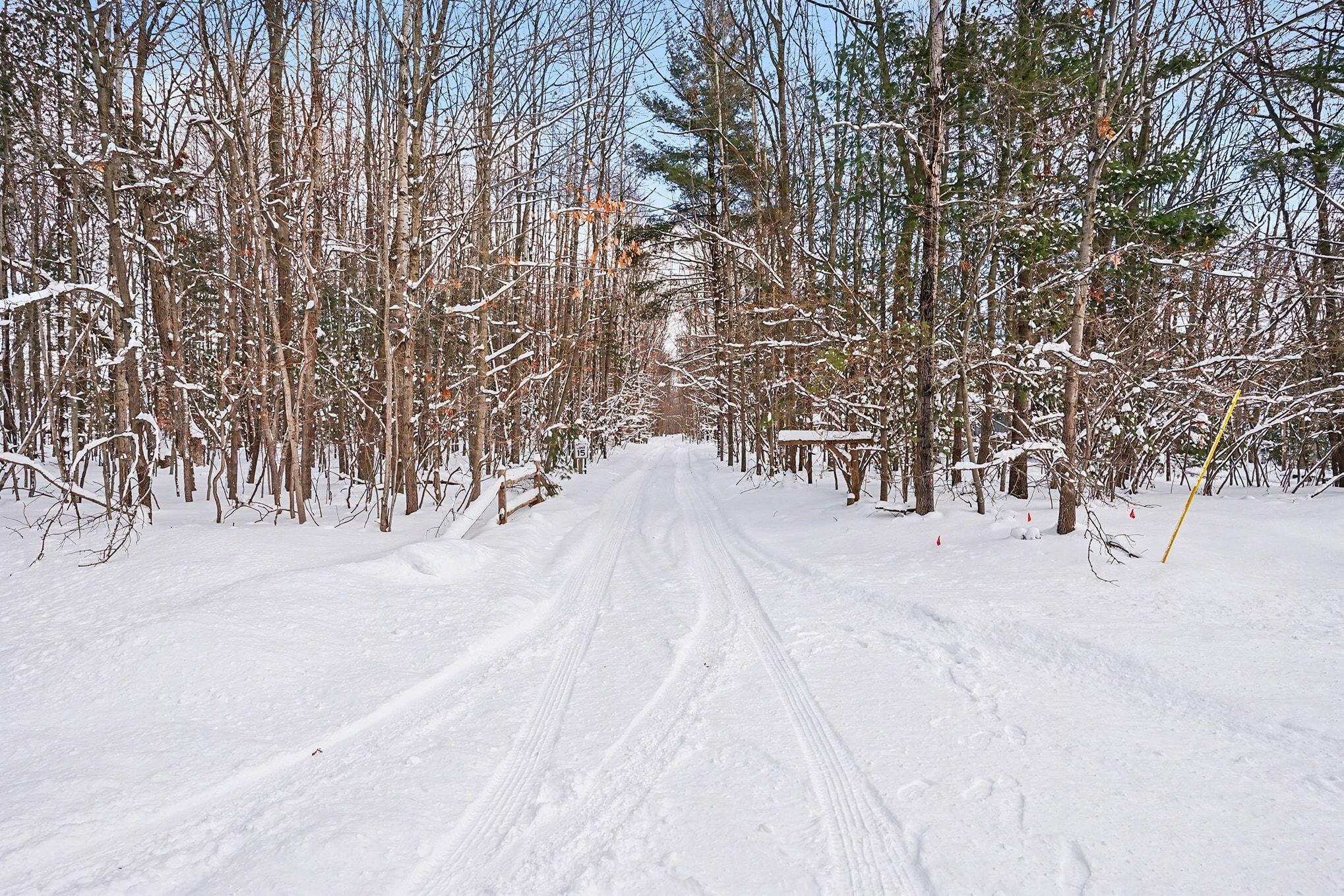 18.9-acres South 176th Avenue Hesperia, MI 49421 - Photo 4 of 17 18.9 Acres S 176th Avenue