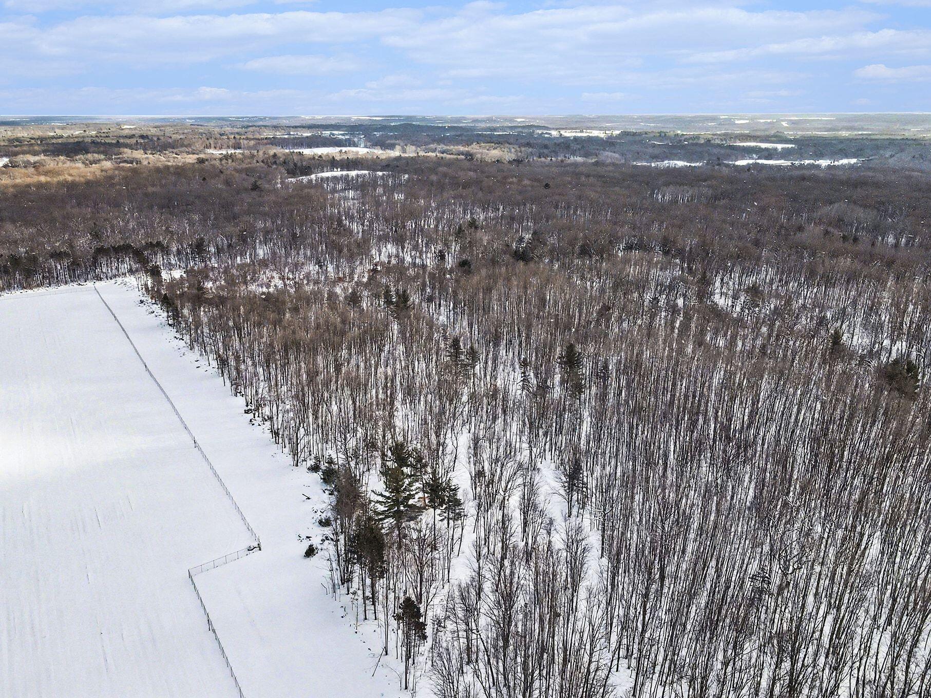 18.9-acres South 176th Avenue Hesperia, MI 49421 - Photo 6 of 17 18.9 Acres S 176th Avenue