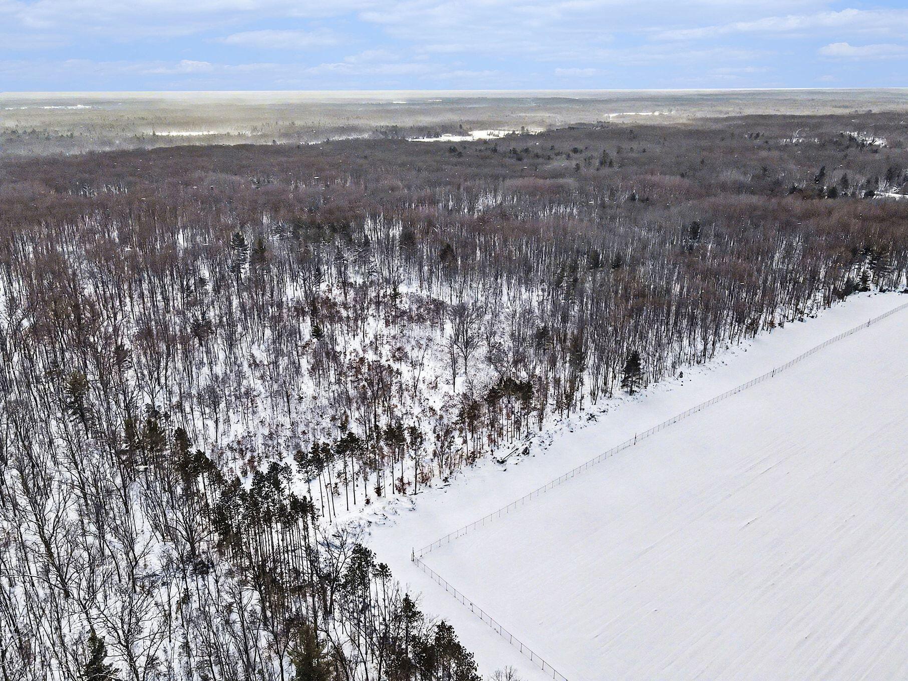 18.9-acres South 176th Avenue Hesperia, MI 49421 - Photo 7 of 17 18.9 Acres S 176th Avenue
