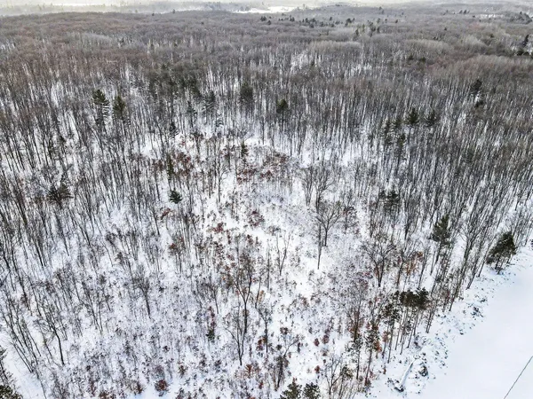 $113,900 | 18.9-acres South 176th Avenue, Hesperia, MI 49421