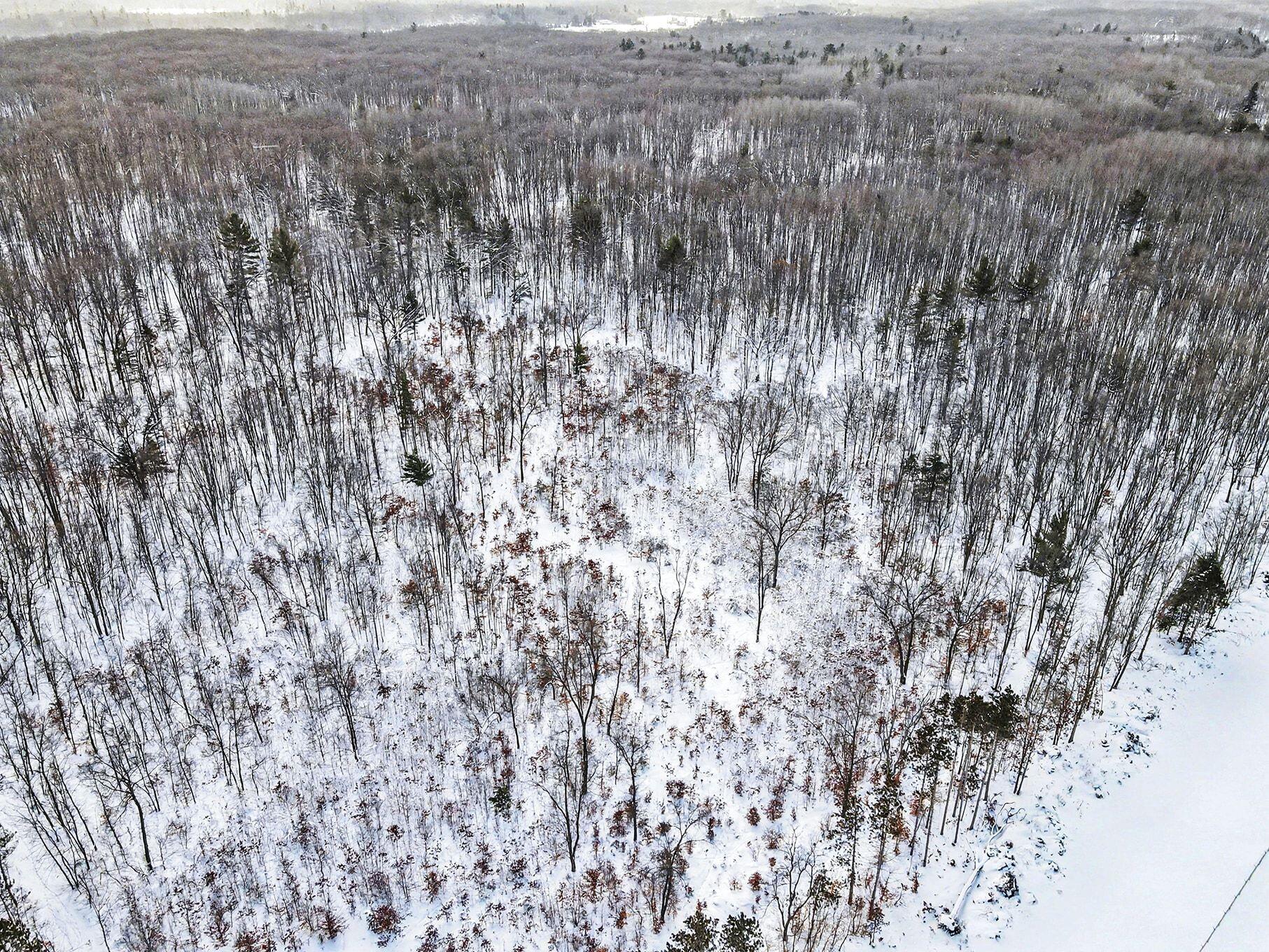 18.9-acres South 176th Avenue Hesperia, MI 49421 - Photo 8 of 17 18.9 Acres S 176th Avenue