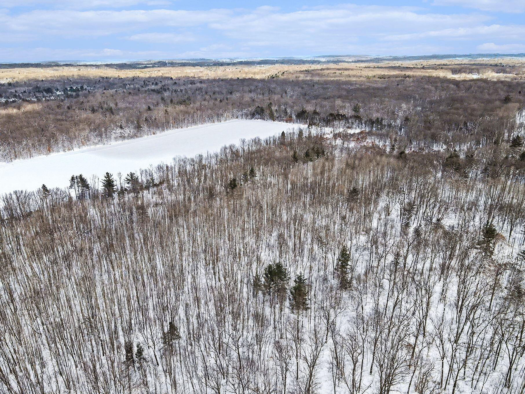 18.9-acres South 176th Avenue Hesperia, MI 49421 - Photo 9 of 17 18.9 Acres S 176th Avenue