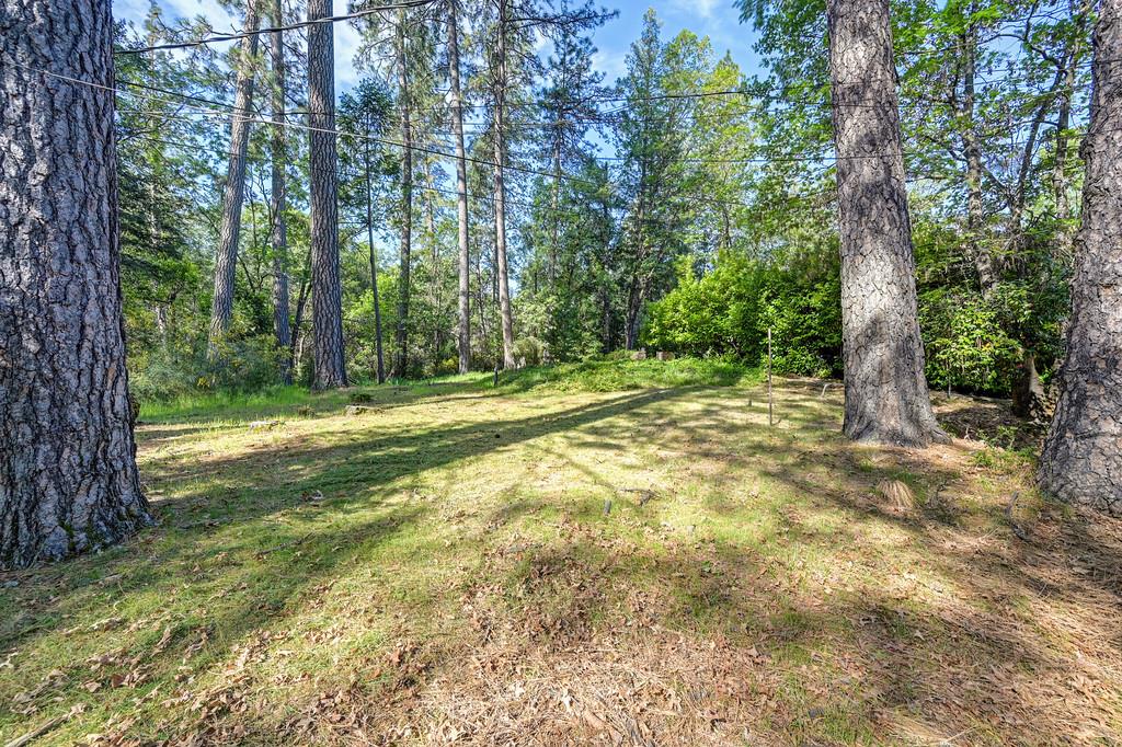 26270 Green Acres Road Colfax, CA 95713 - Photo 32 of 44