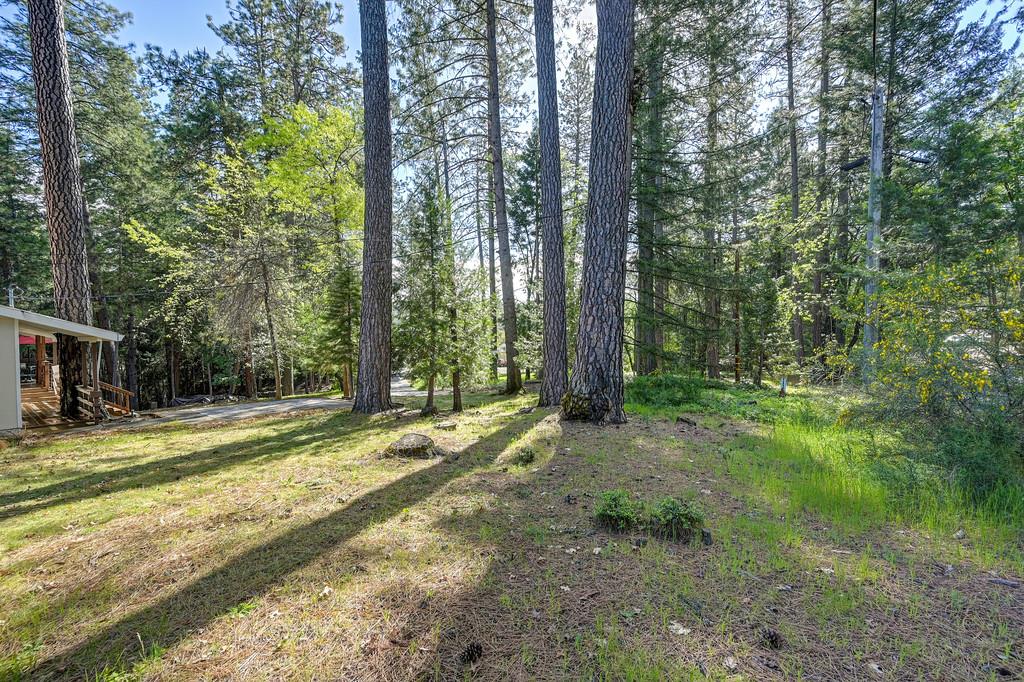 26270 Green Acres Road Colfax, CA 95713 - Photo 33 of 44